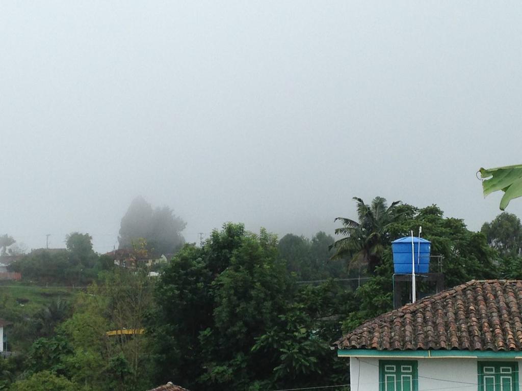 Hostal Casa De Los Taitas Salento Ngoại thất bức ảnh